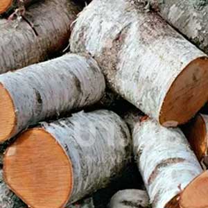 Дрова березовые чурками