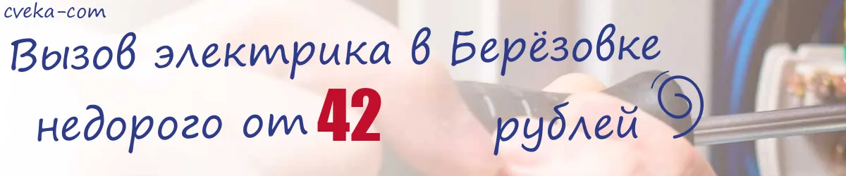 Электрик в Берёзовке