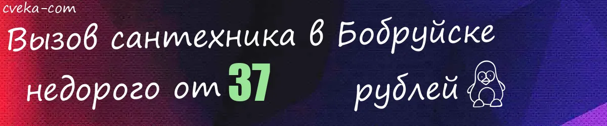 Сантехник в Бобруйске
