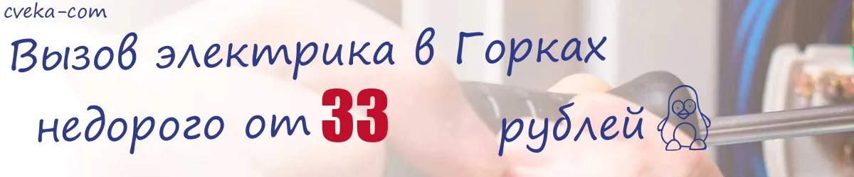 Электрик в Горках