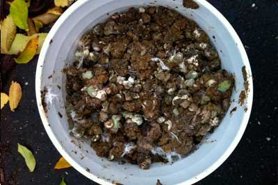 Доставка куриного помета