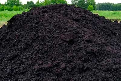 Купить грунт