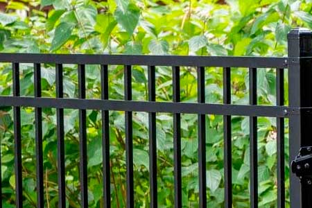 Дачный забор