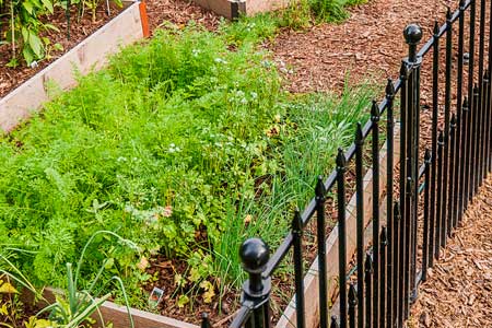 Забор для садового участка